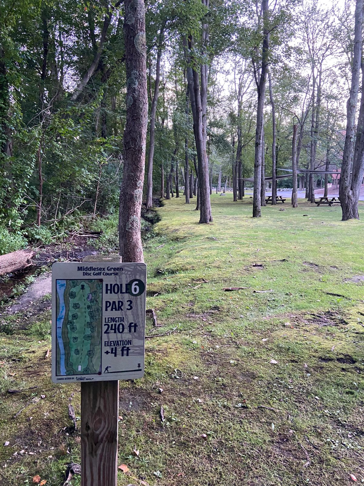 Hole 6