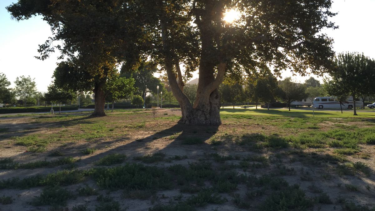 Hole 7