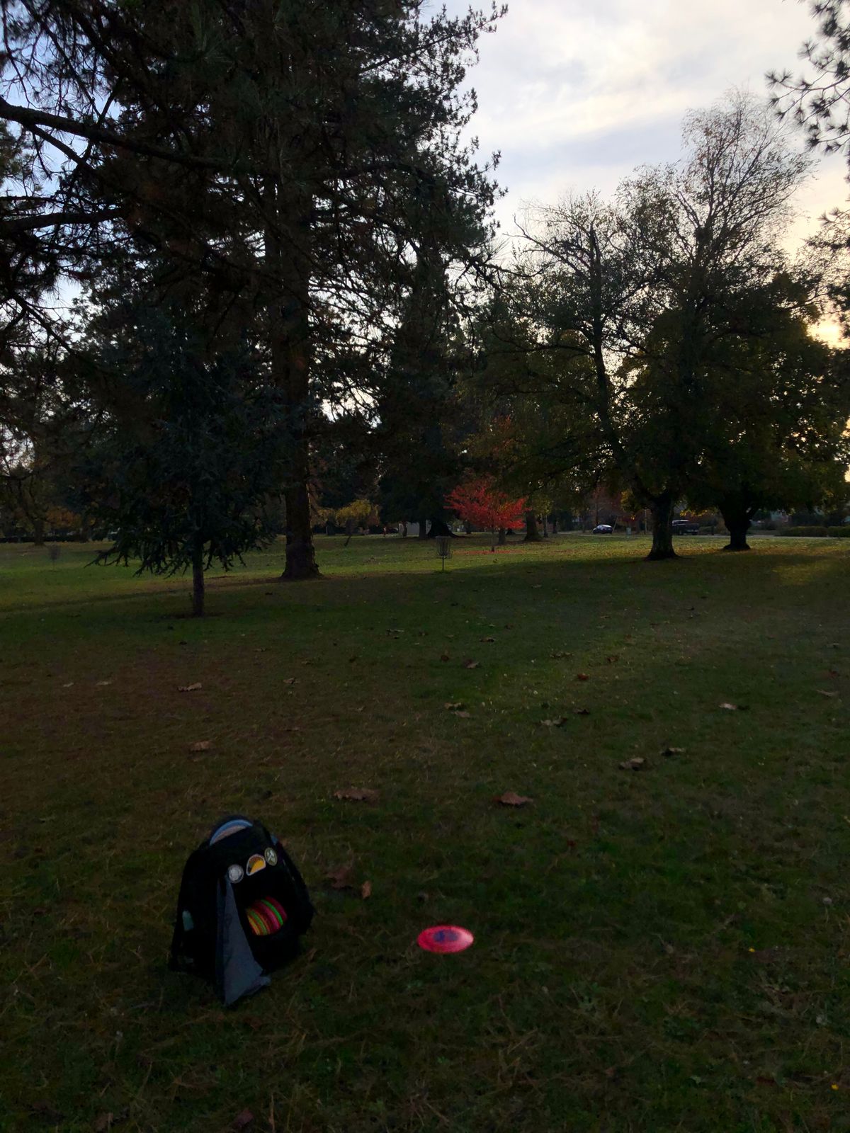 Fall flingin at its finest! Approaching basket 8.