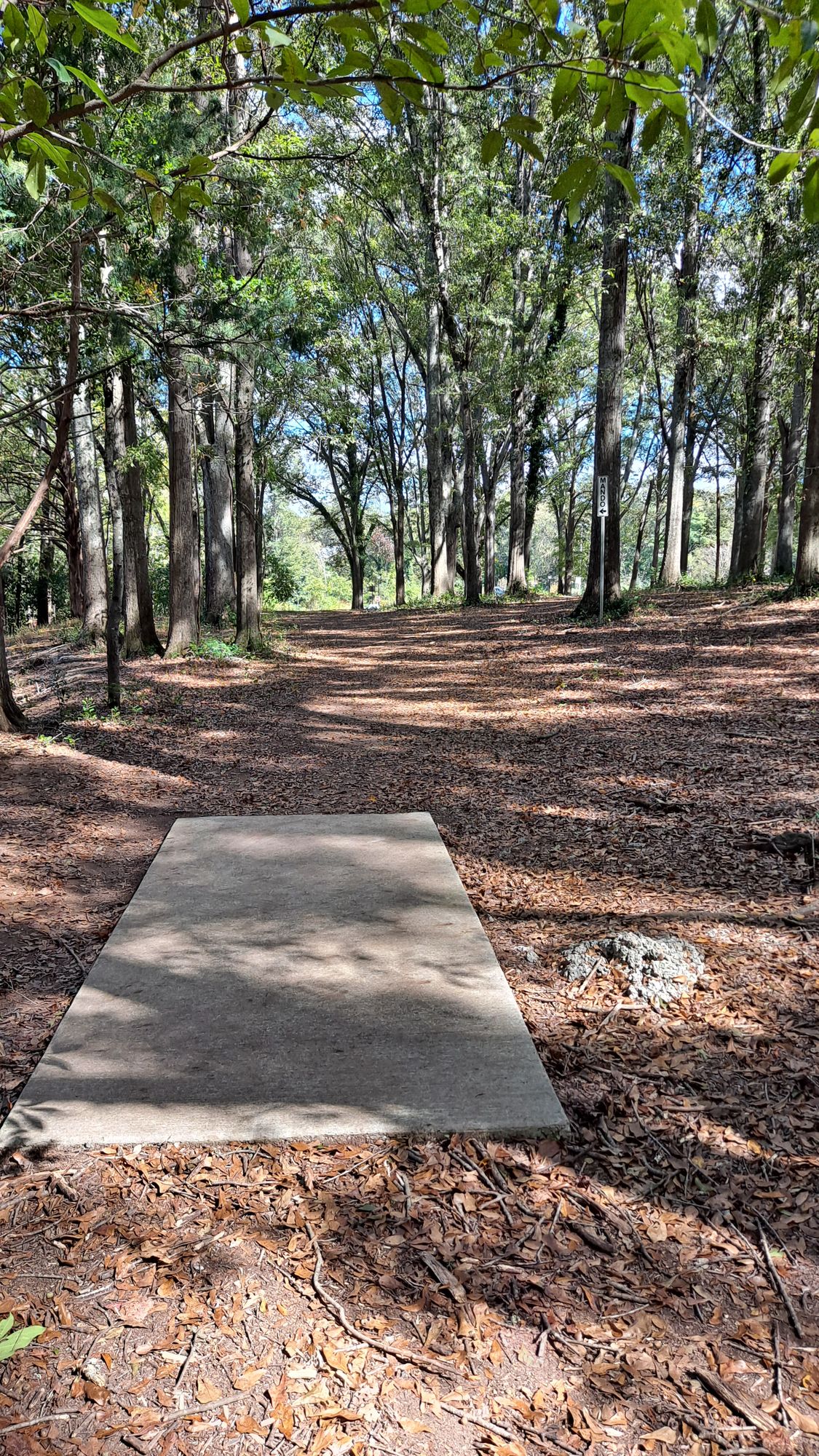 #18 short teepad 350 feet par3