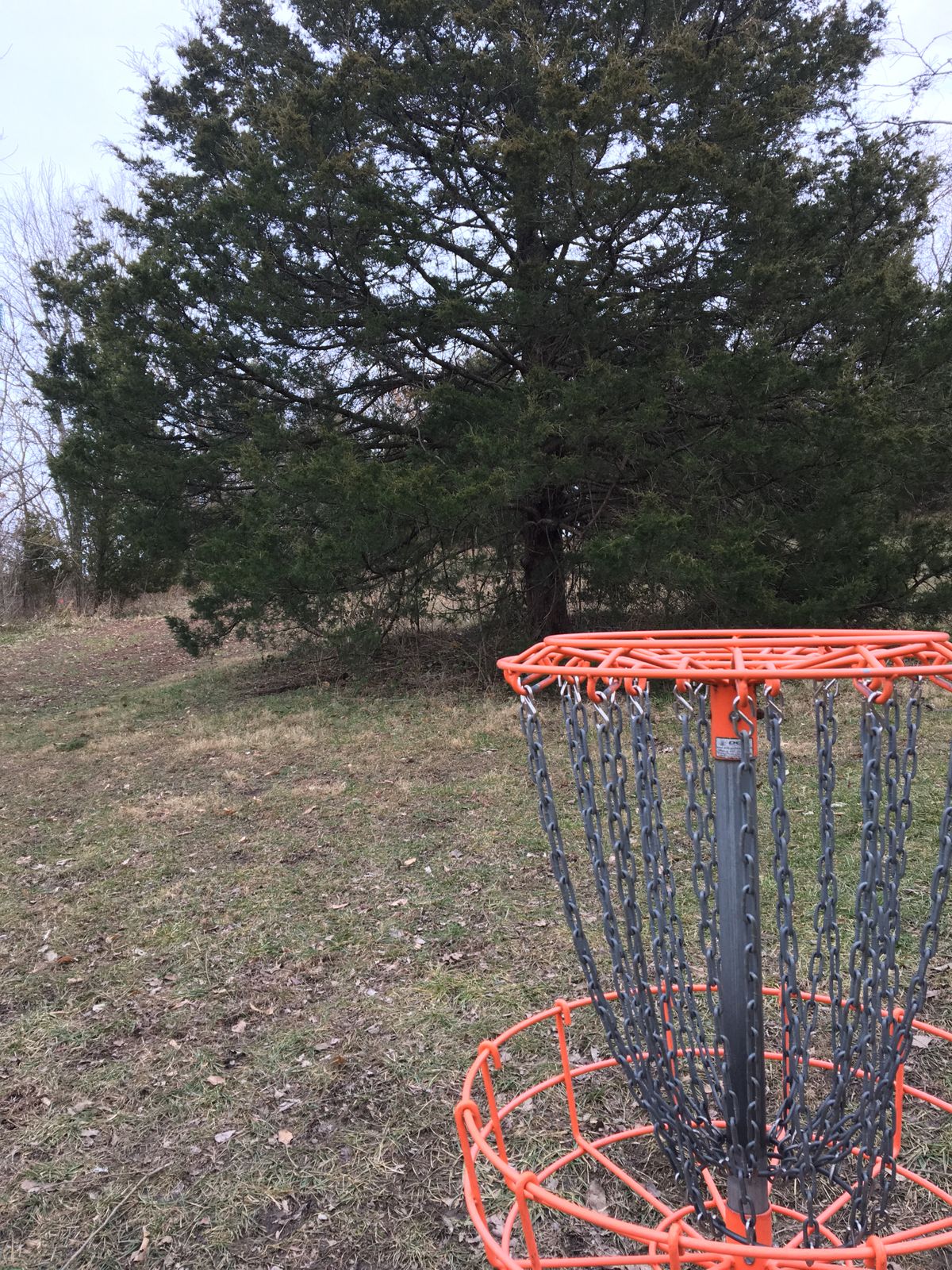 Hole 5 Basket to Tee