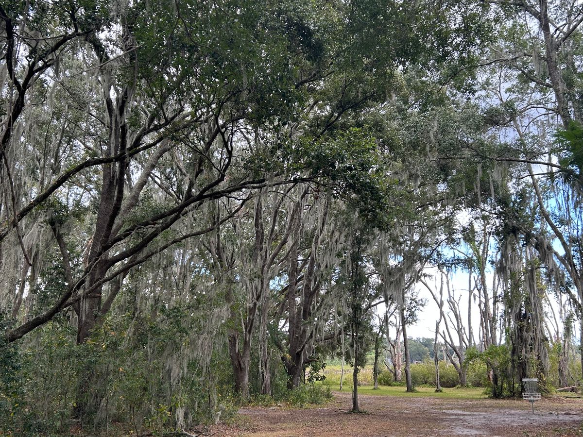 hole 1
