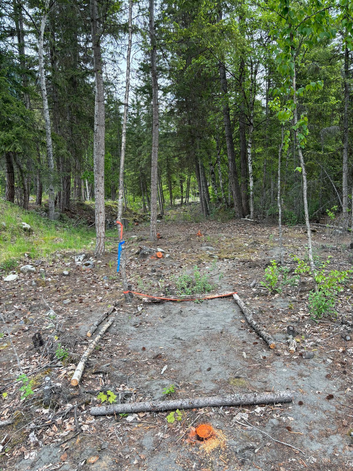 Hole 2