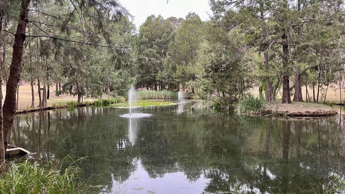 Pond next to baskets 1&10
