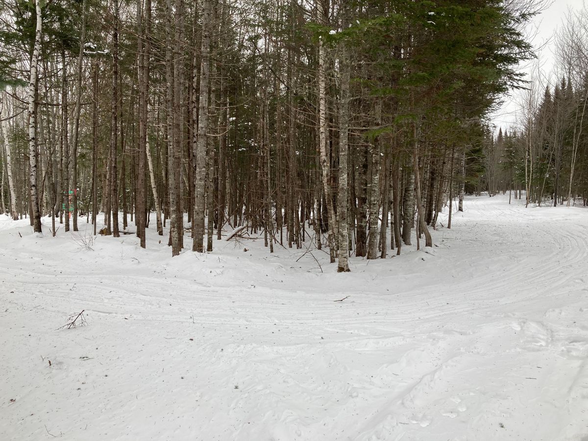 Hole 3 tee - can you see the basket for 2 on the left and hole 4 on the right?