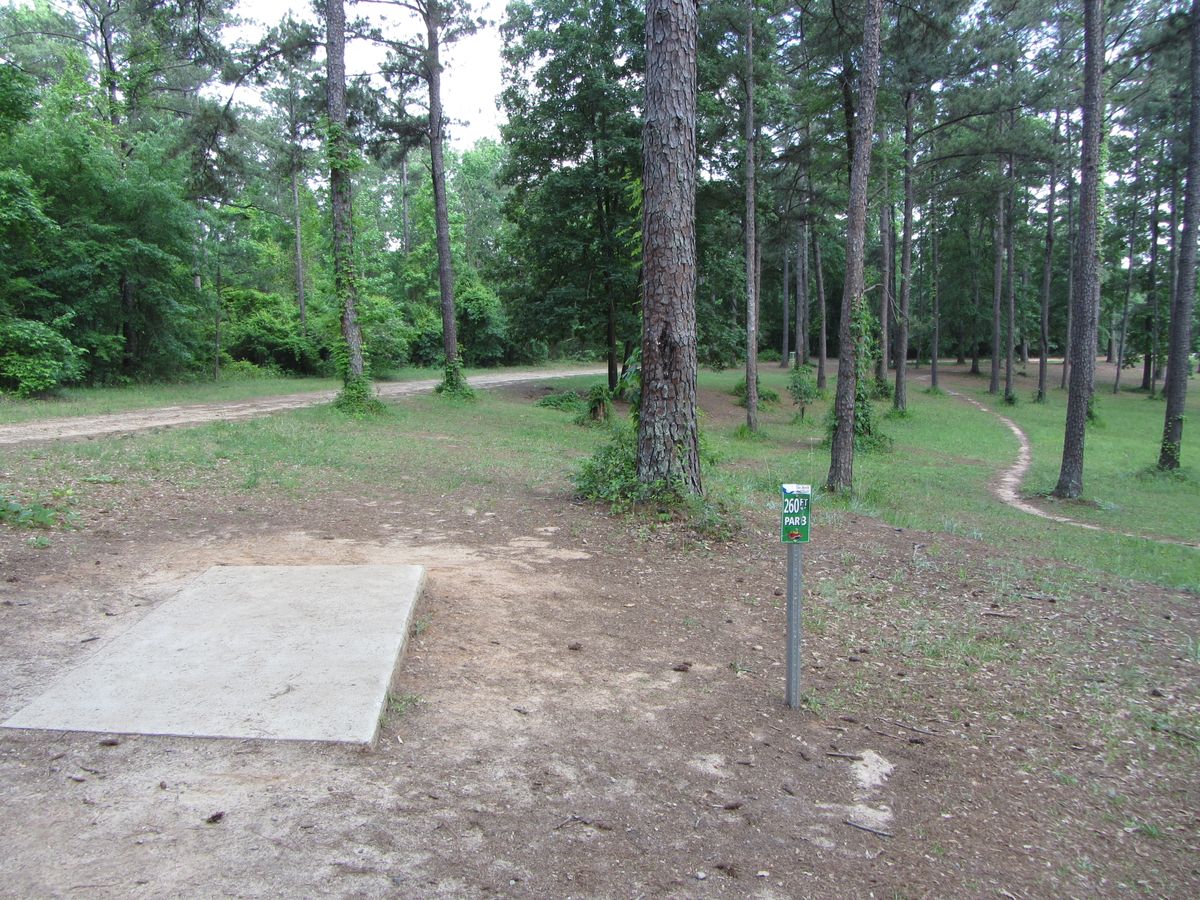 Hole 8