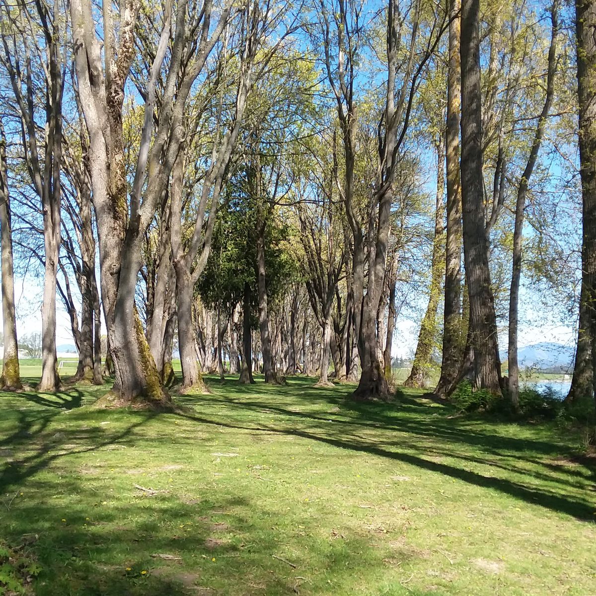 Hole 11 Fairway