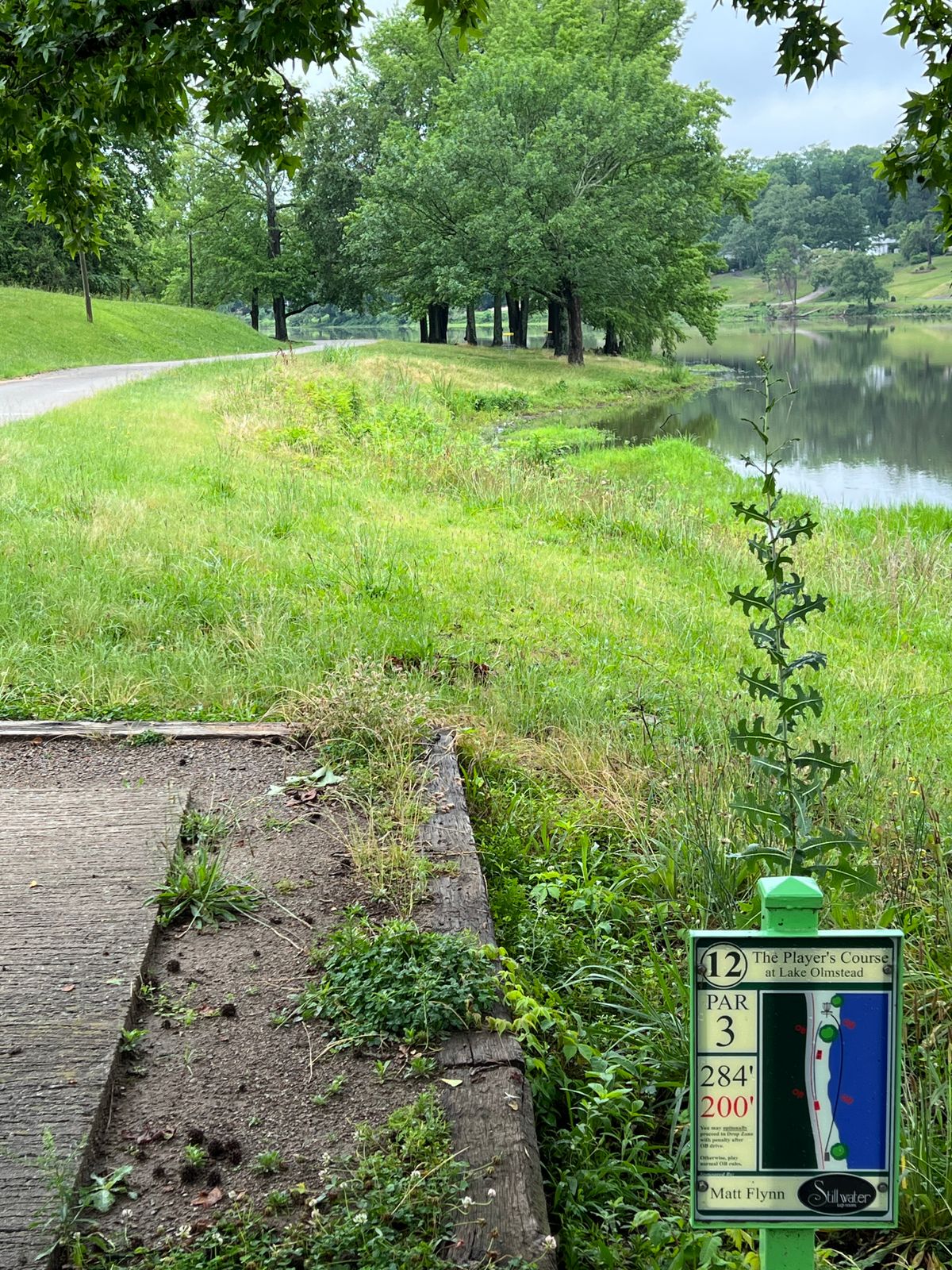 Hole has main and short tee. 