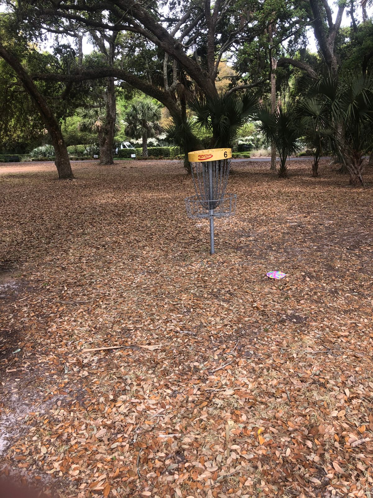 Hole 5