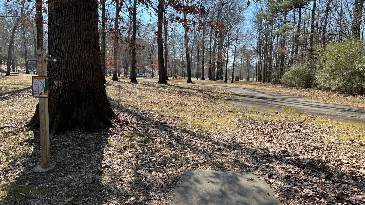 Hole 7