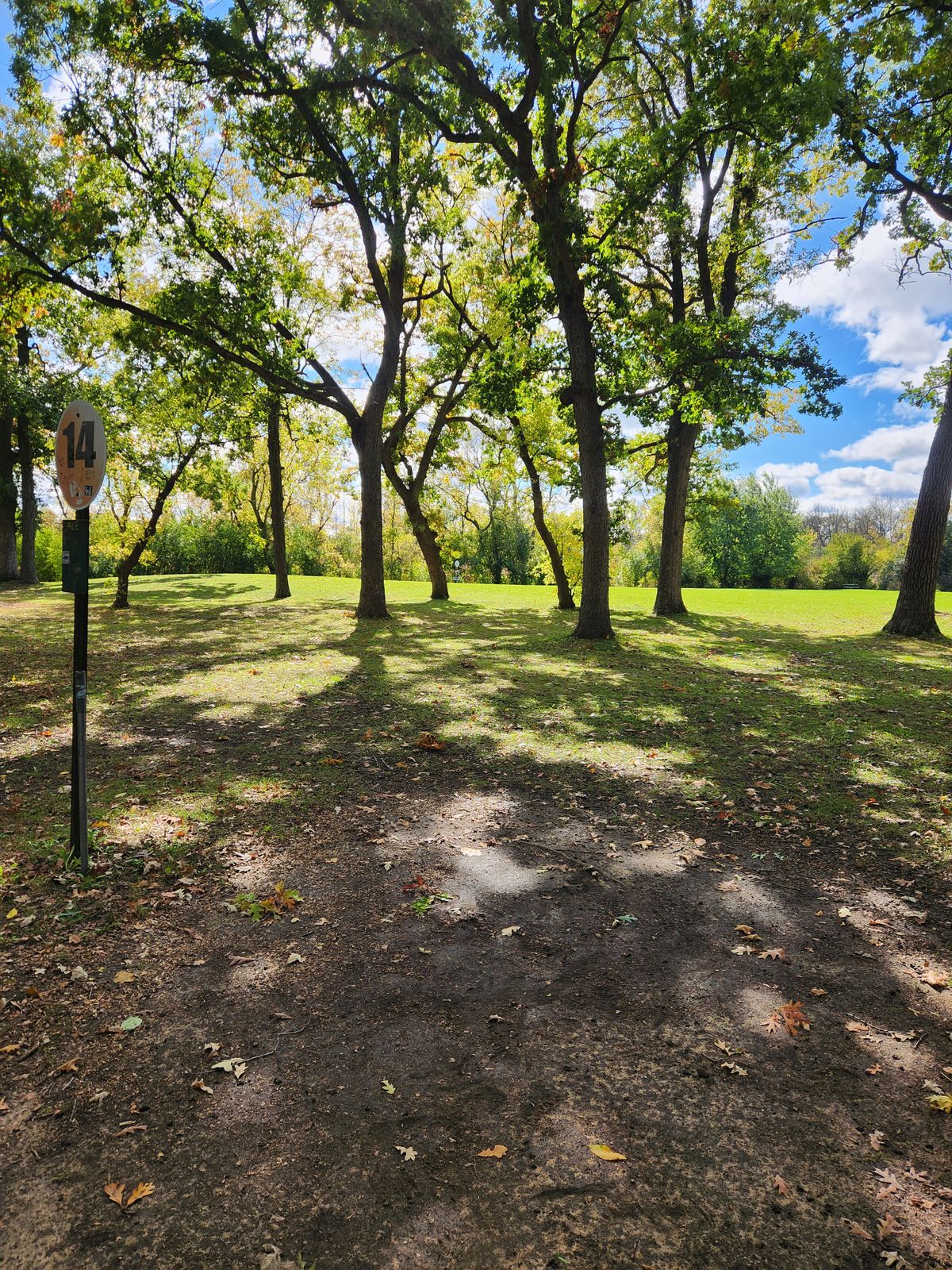 Hole 14 long tee