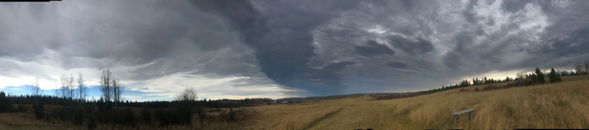 Beautiful chinook coming in on Aspen Meadows West