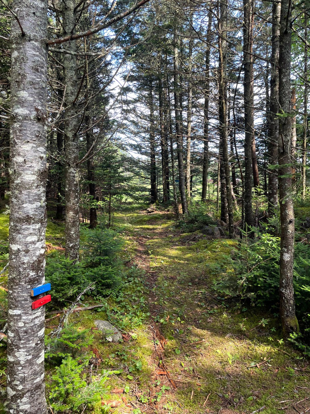 Hole 4