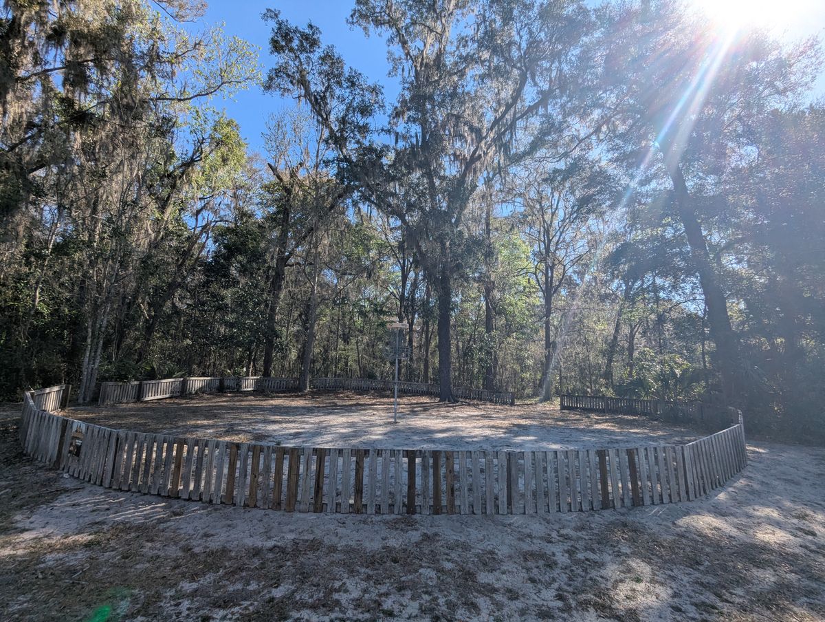 Hole 12 green