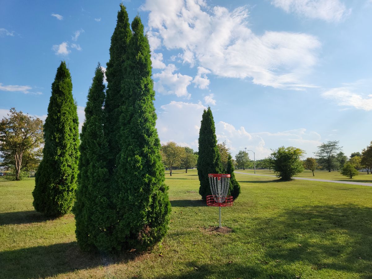 View of hole 14's green from behind the basket looking back towards the fairway