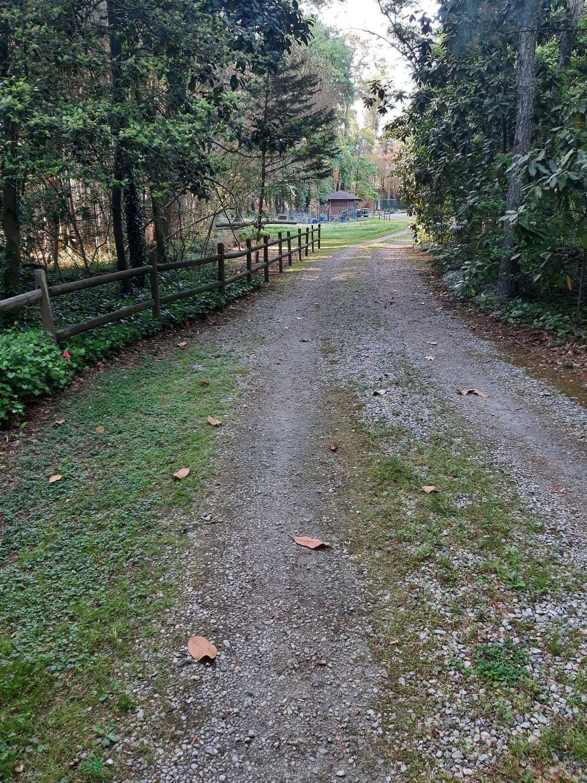 Hole 3 Blue Tee B Pin