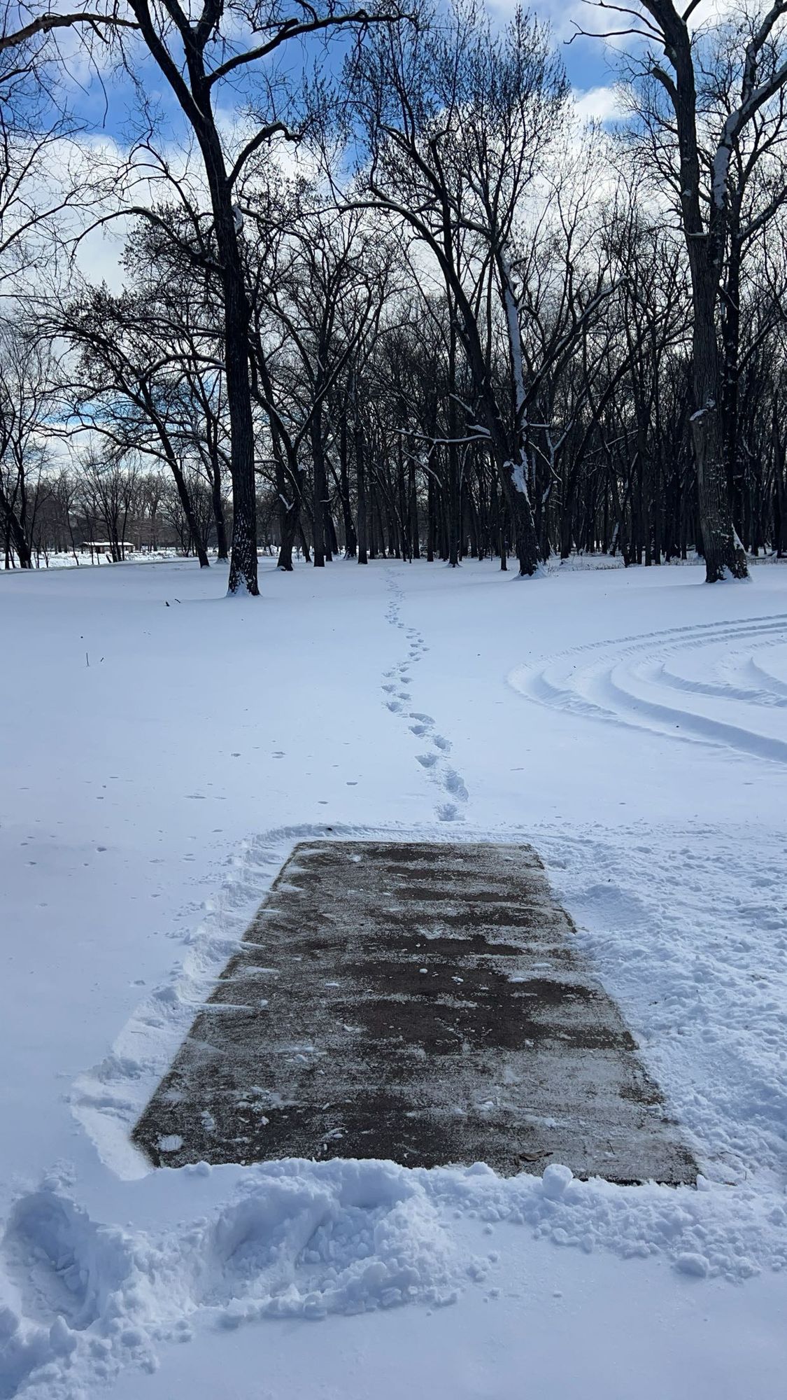 Hole 1 12/20/2024