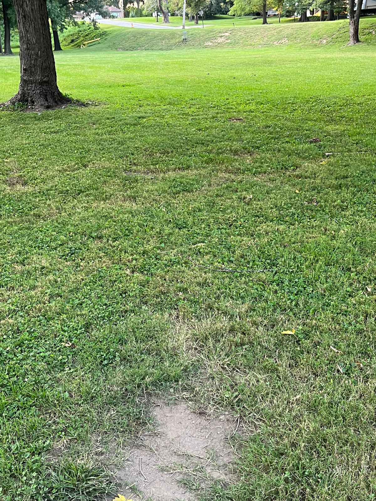 4 tee