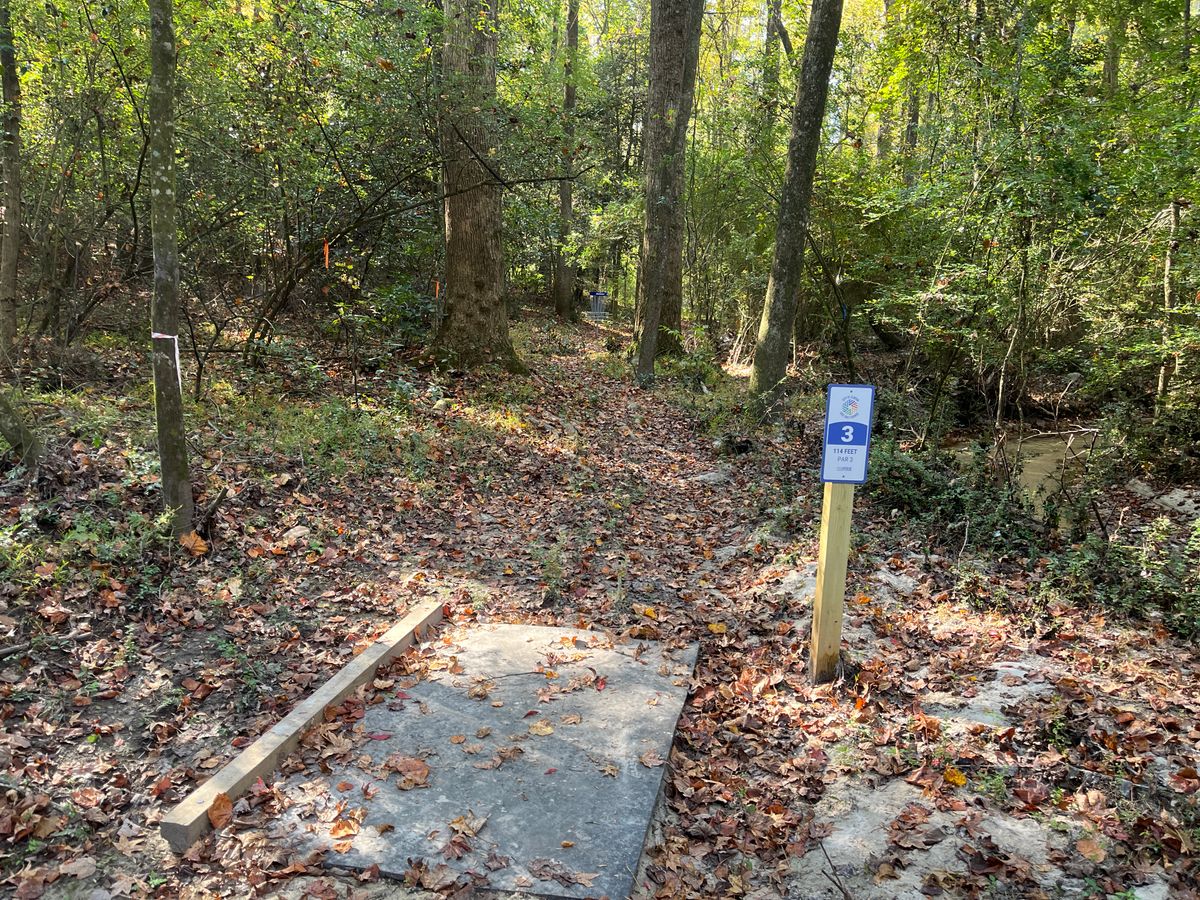 Hole 3 tee