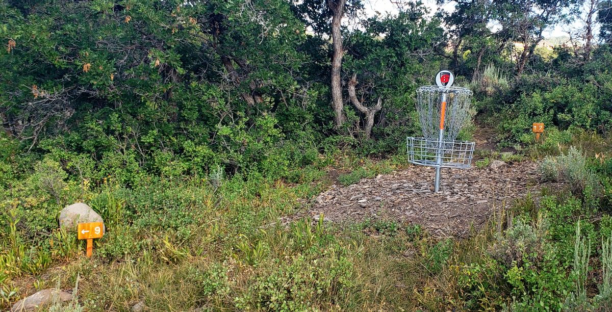 Hole #6, with directional signage to #7 and #9.