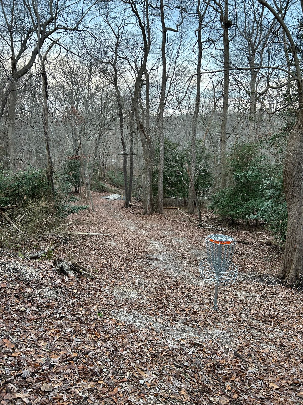Looking downhill to the 17th tee