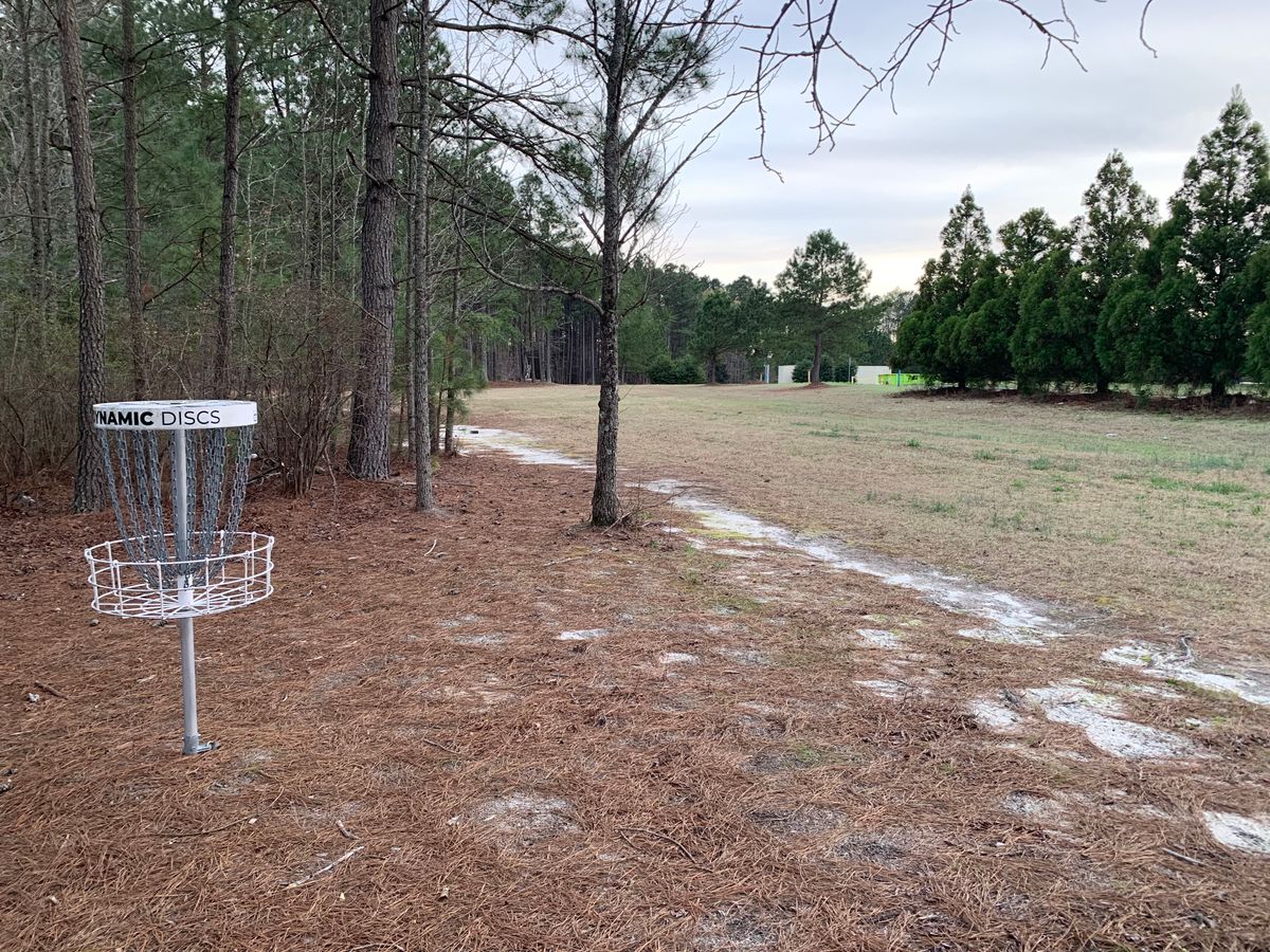 Hole 3 Basket and Green