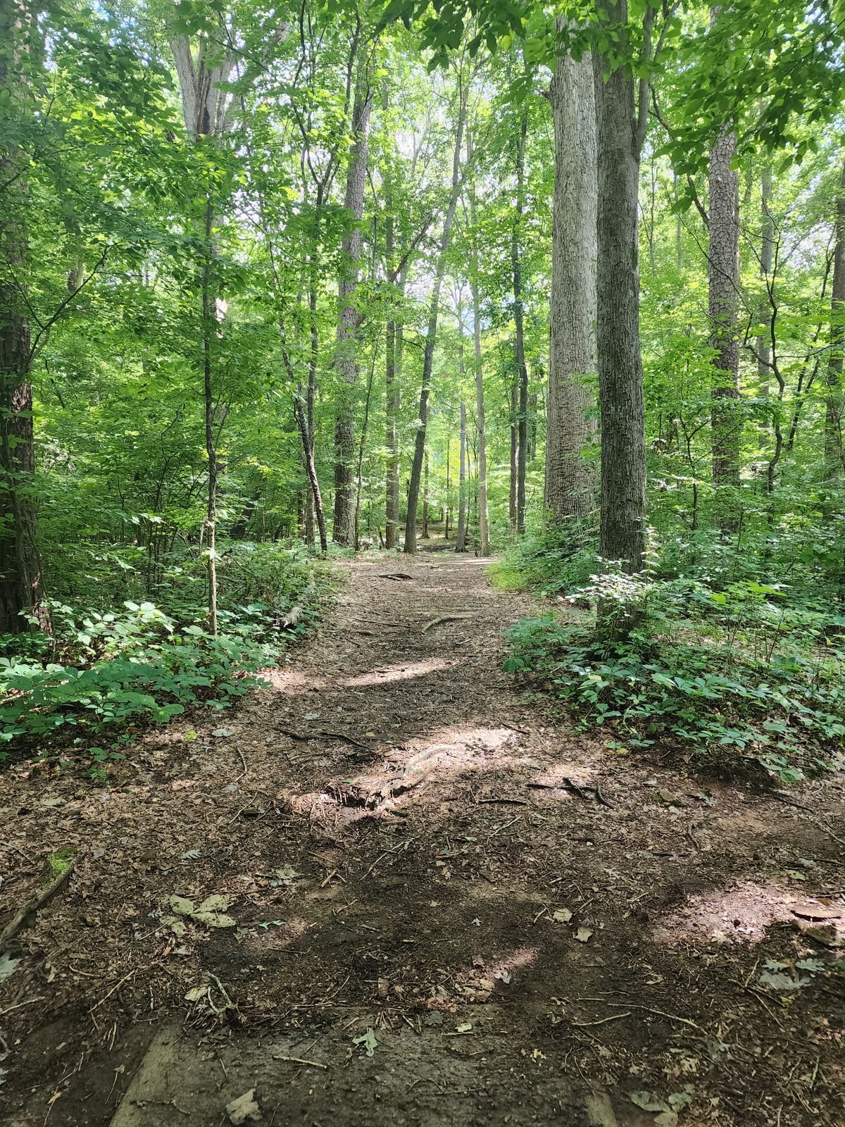 Hole 1 teehole