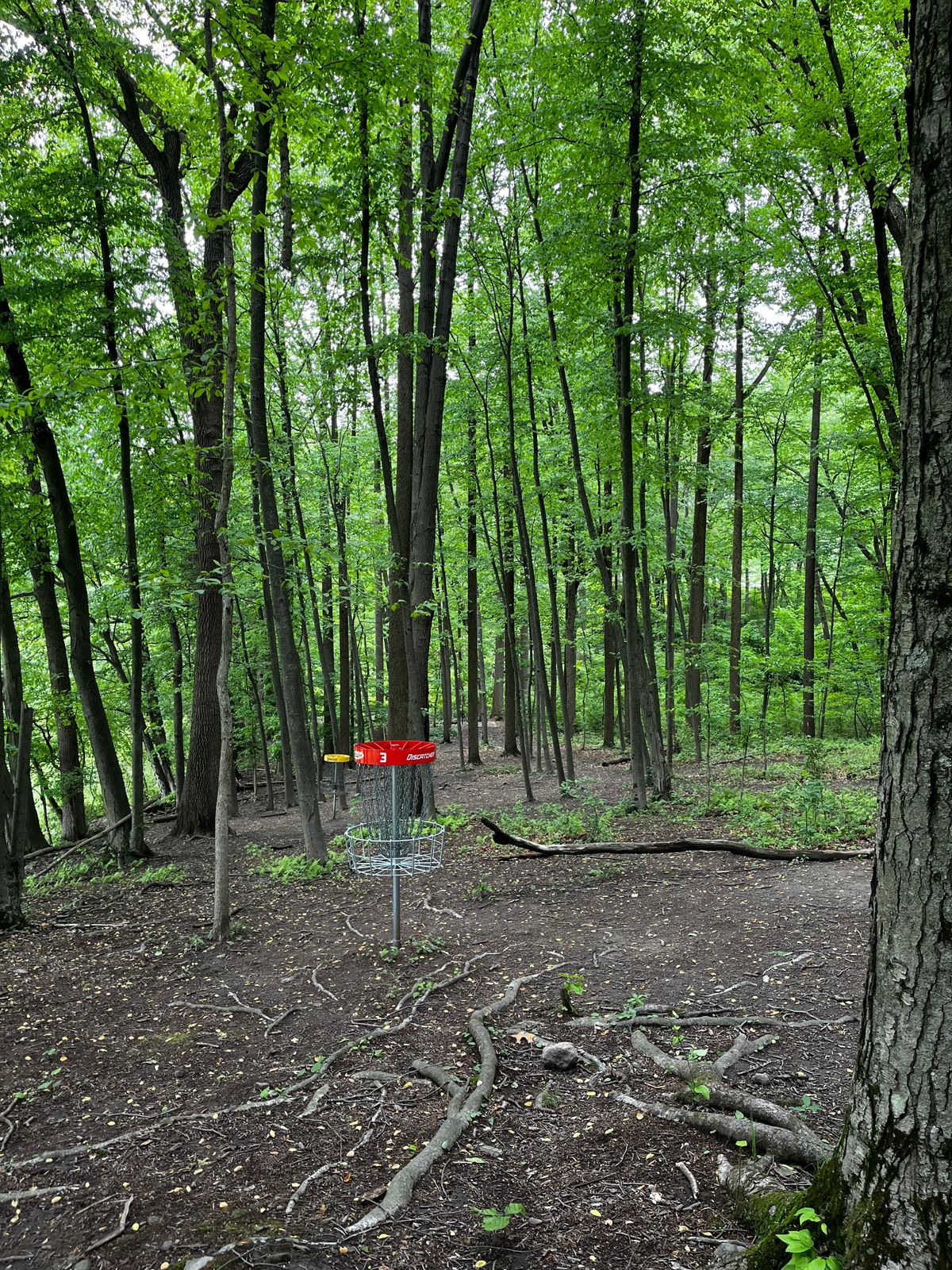Hole 3 red green