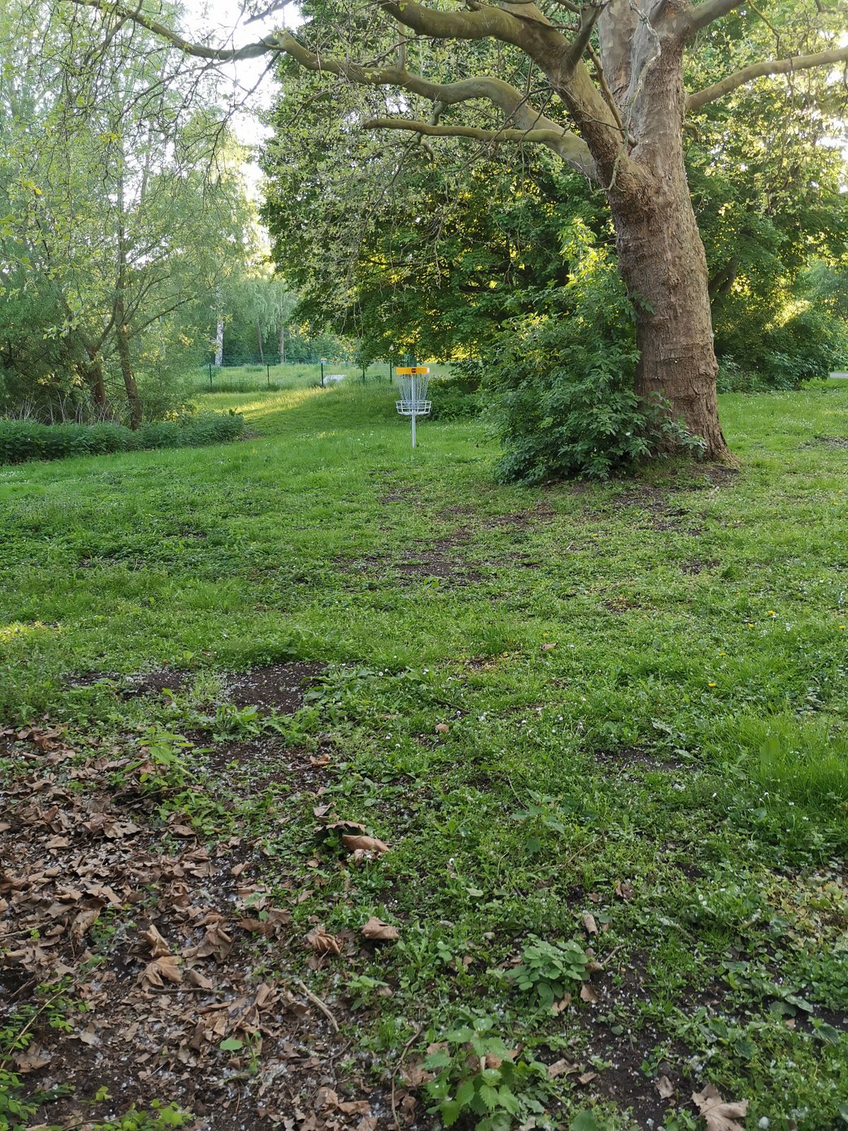 Basket of hole 11