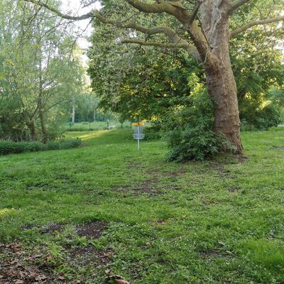 Basket of hole 11