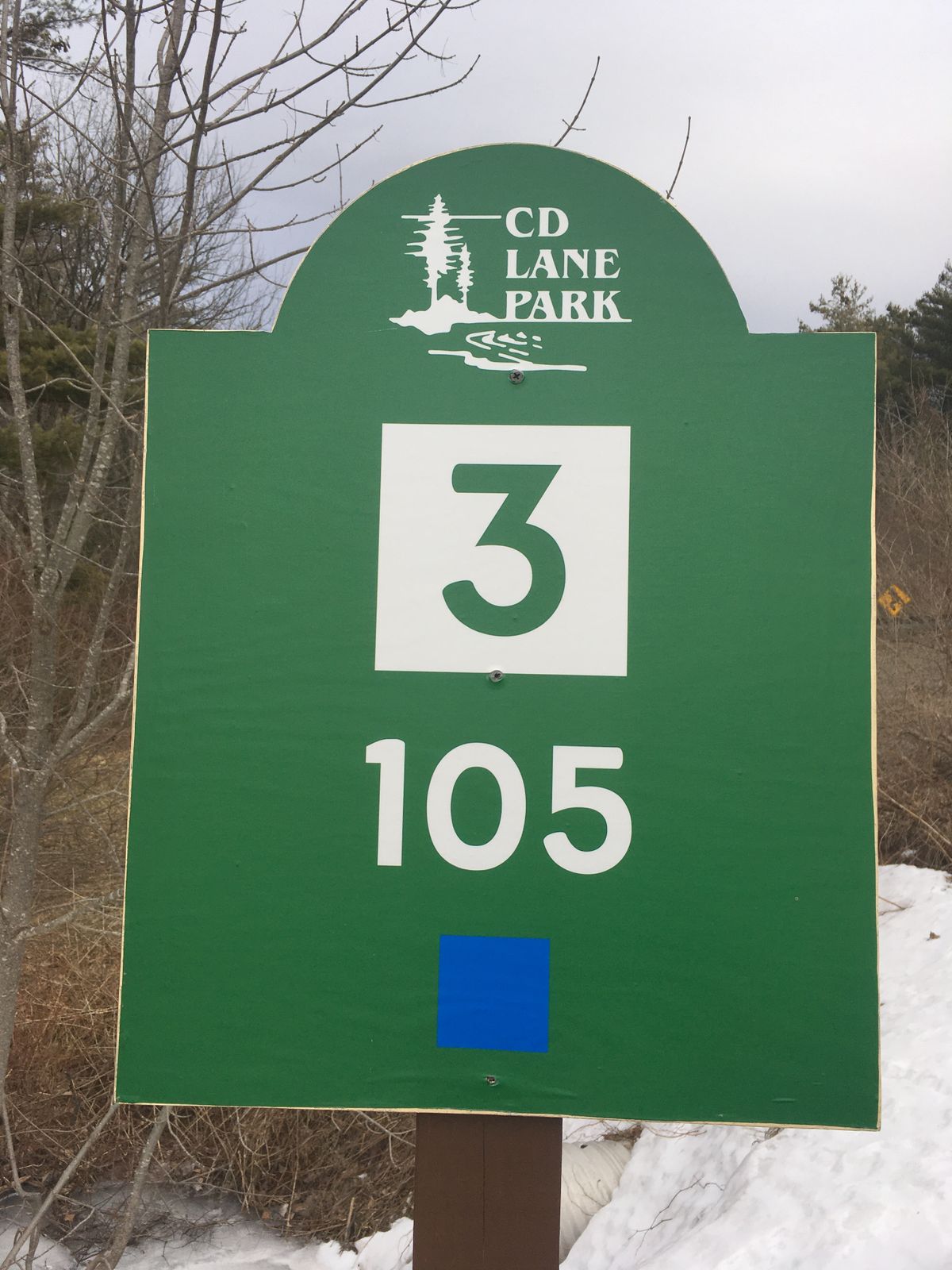 Tee 3 - Downhill to basket