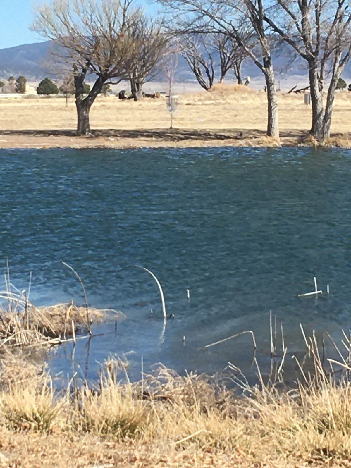 #18 is an excellent shot across the lake