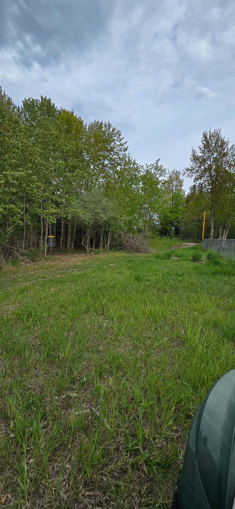 Hole 6 Basket