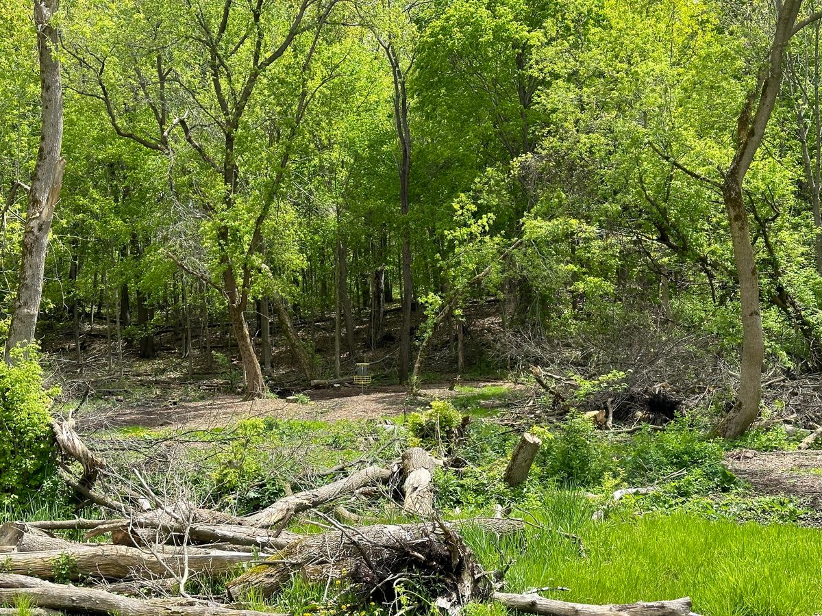Several holes have tight lines but help make a course with no 300’ holes challenging