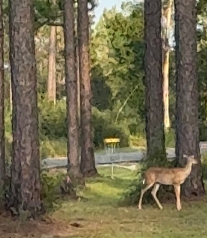 Hole 10