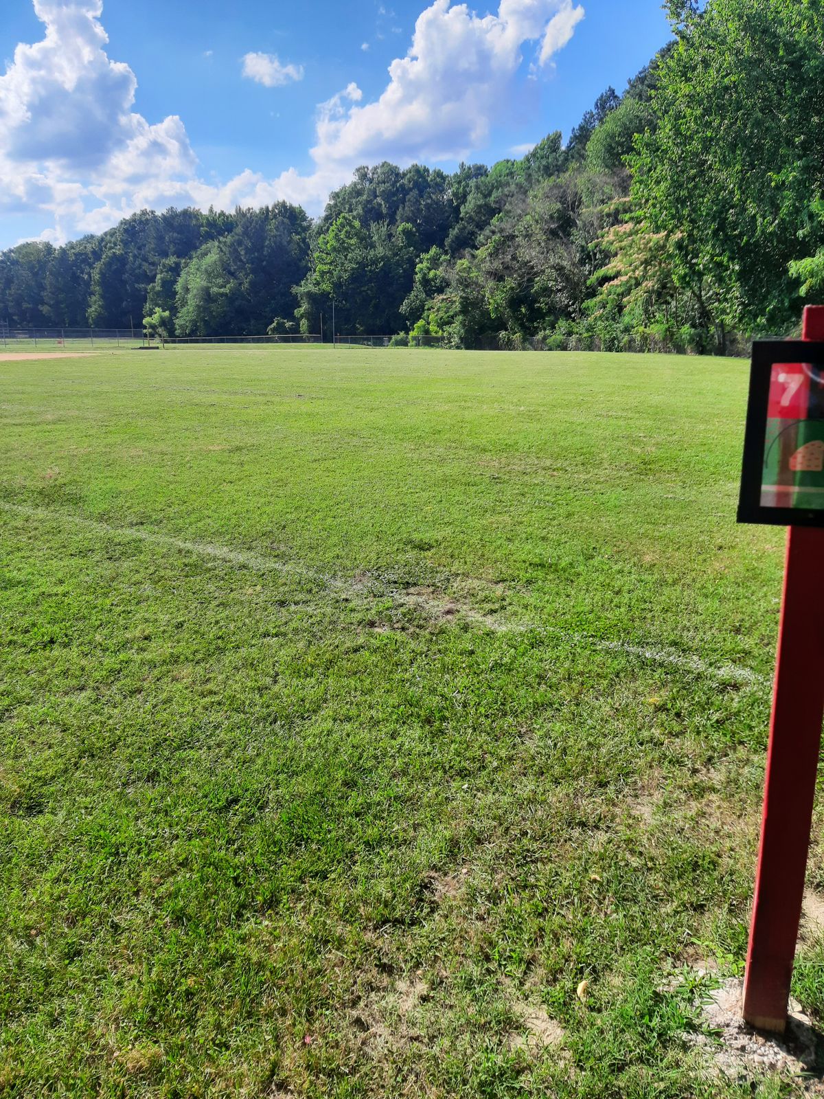 Hole 7 Tee