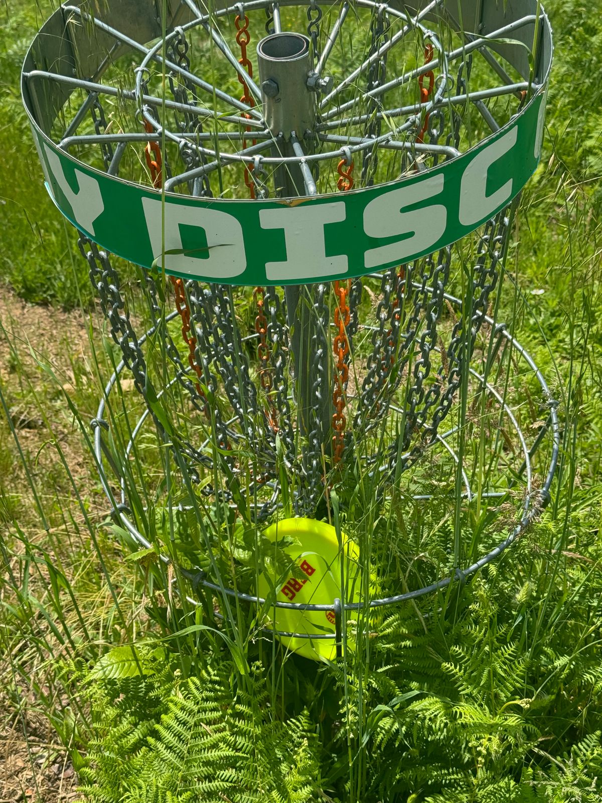 Course could use the TLC