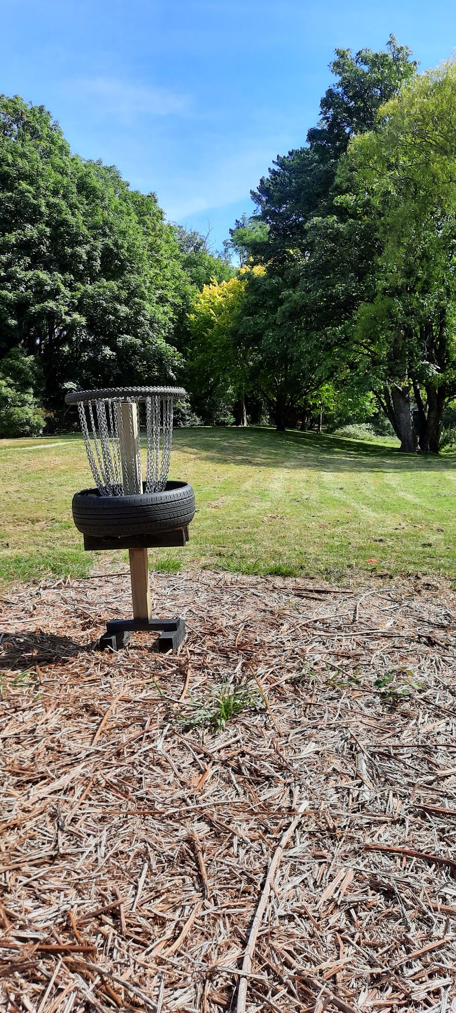 Hole 5