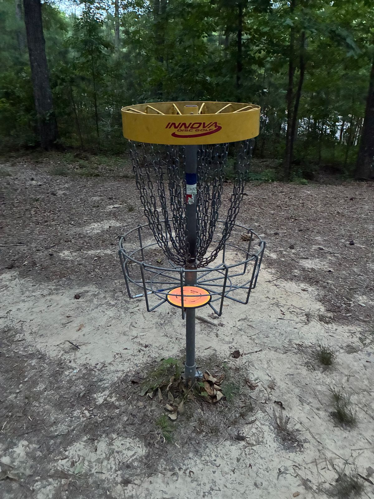 First ace! Hole 16 with a MVP Resistor.