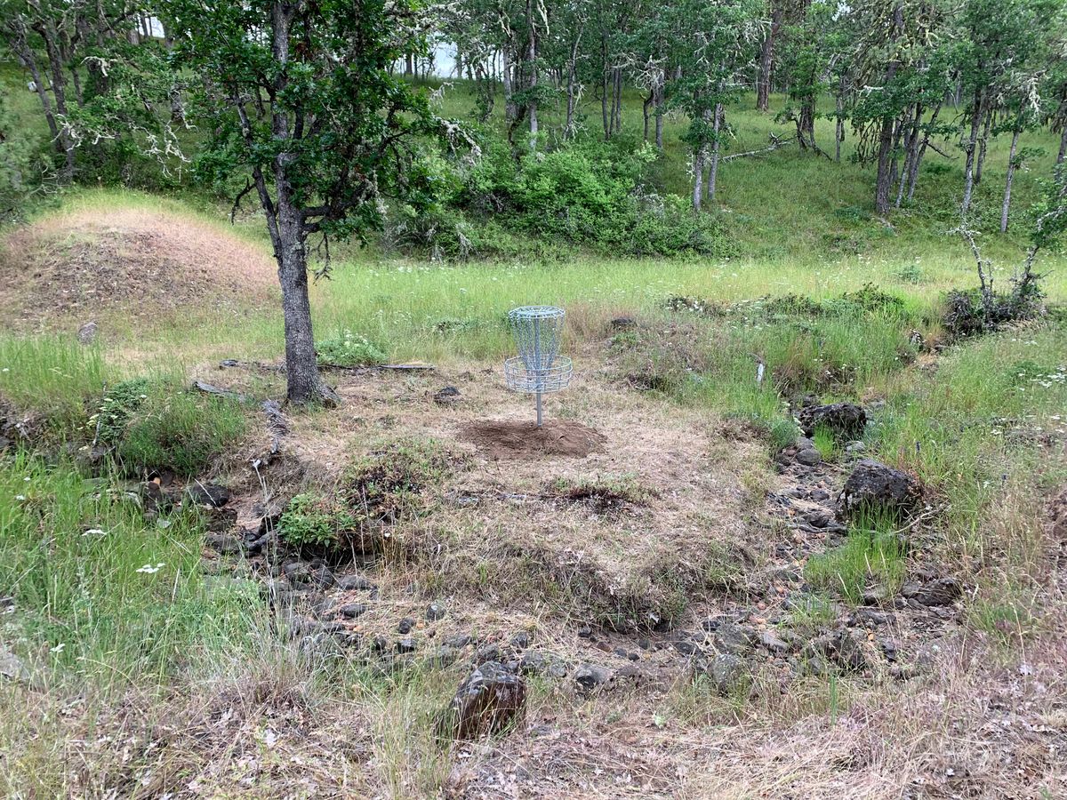 Hole 5/14 with tight seasonal creek playing OB bending around basket.