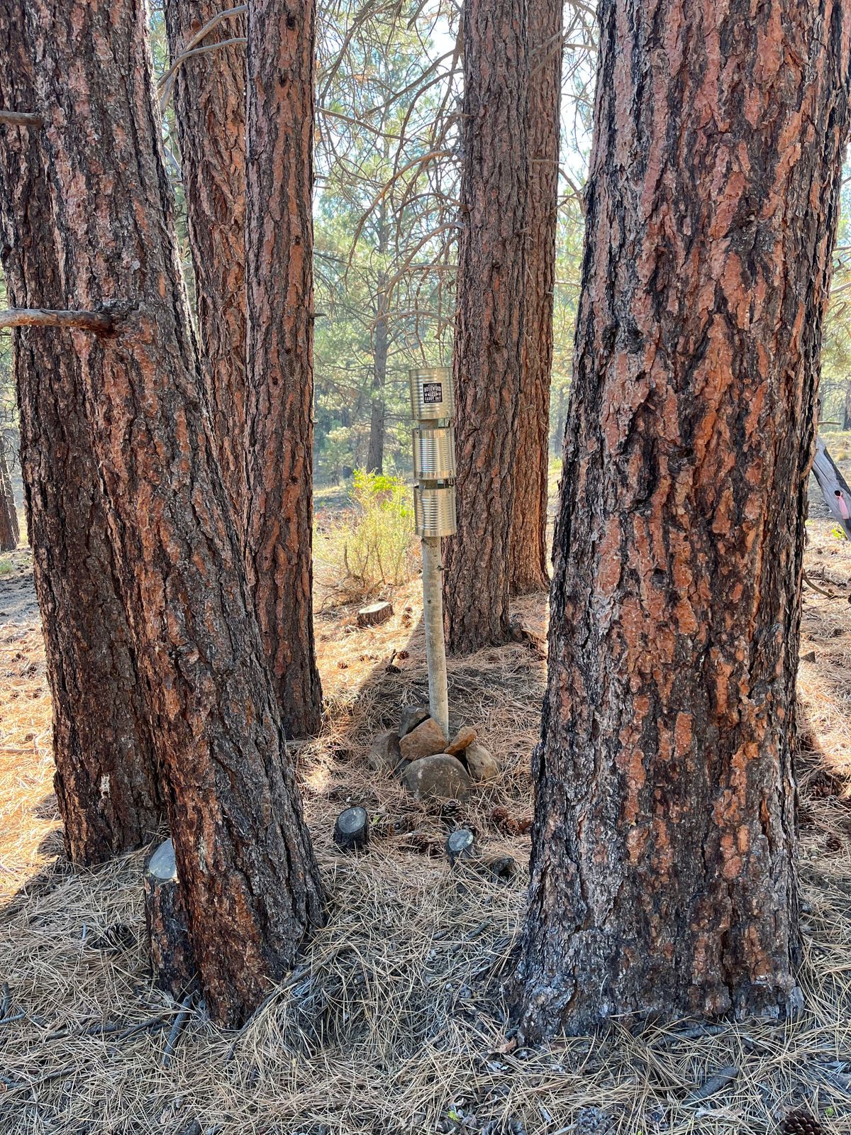 Hole 8