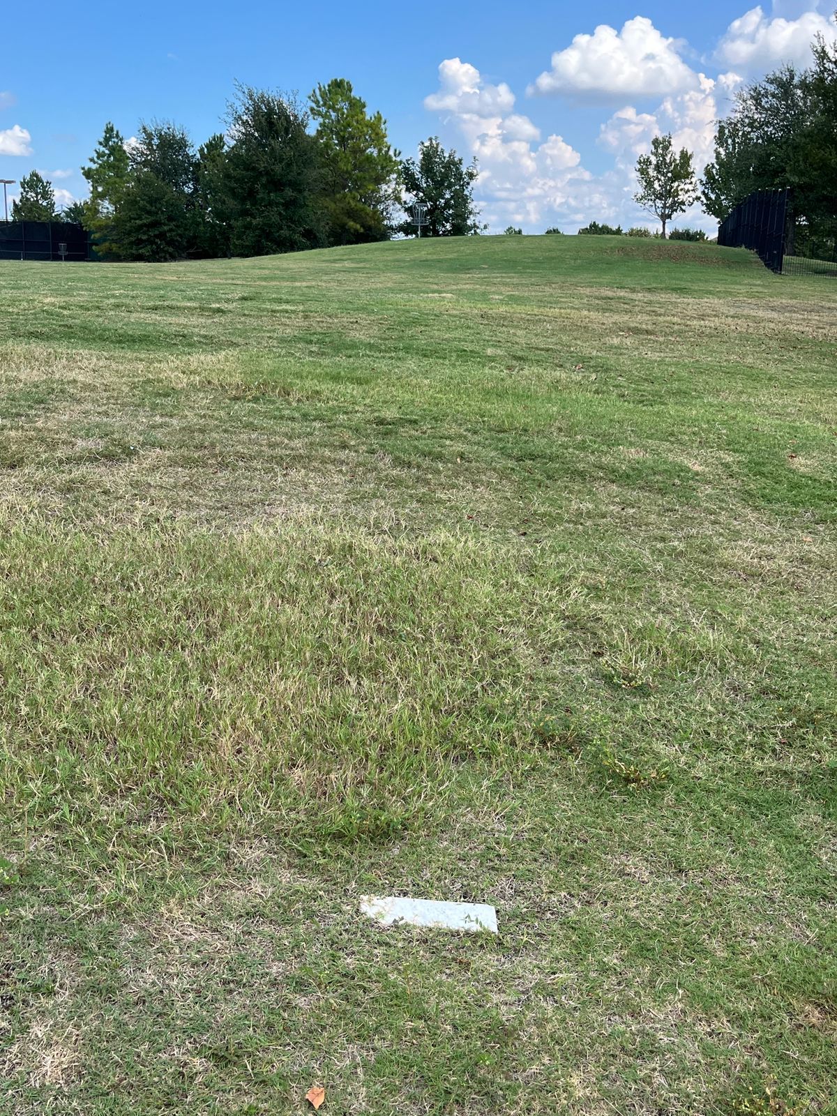 Hole #1. Sidewalk and skate park are OB.