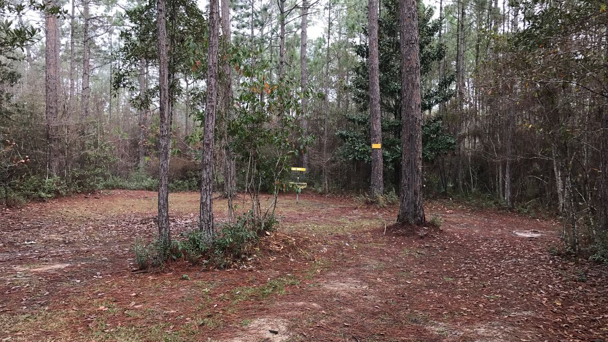 Hole 6