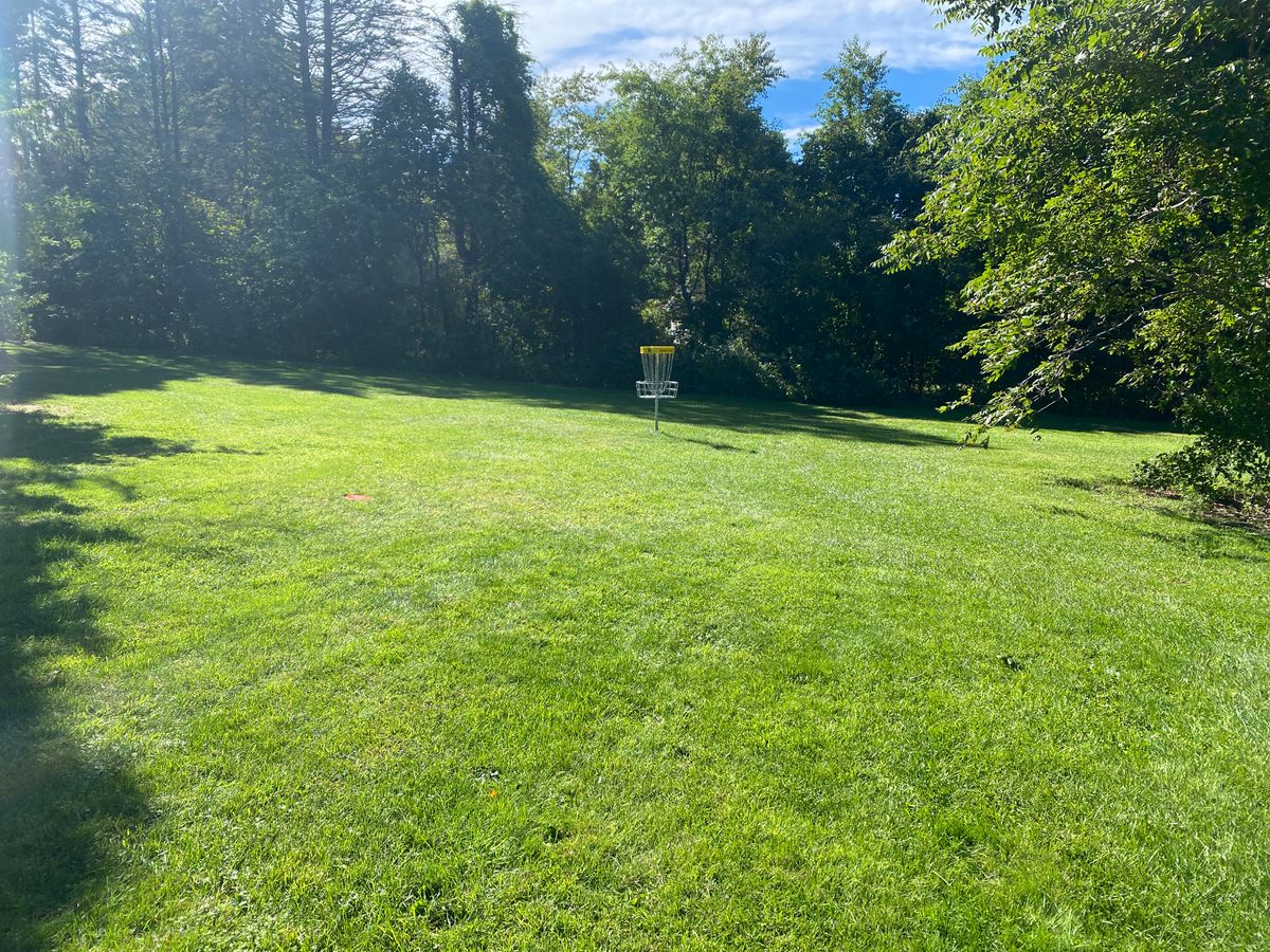 8 Green