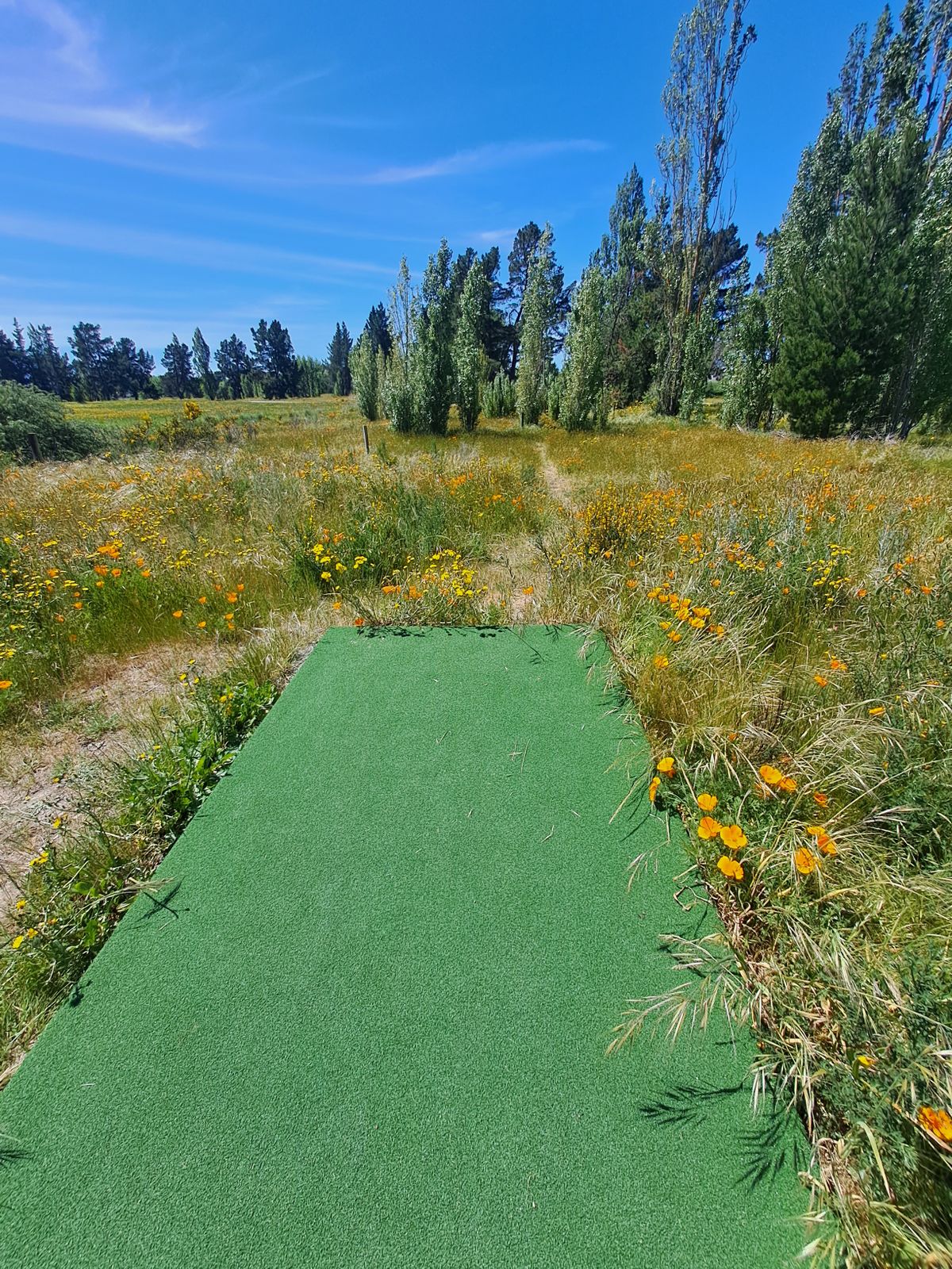 Hole 15