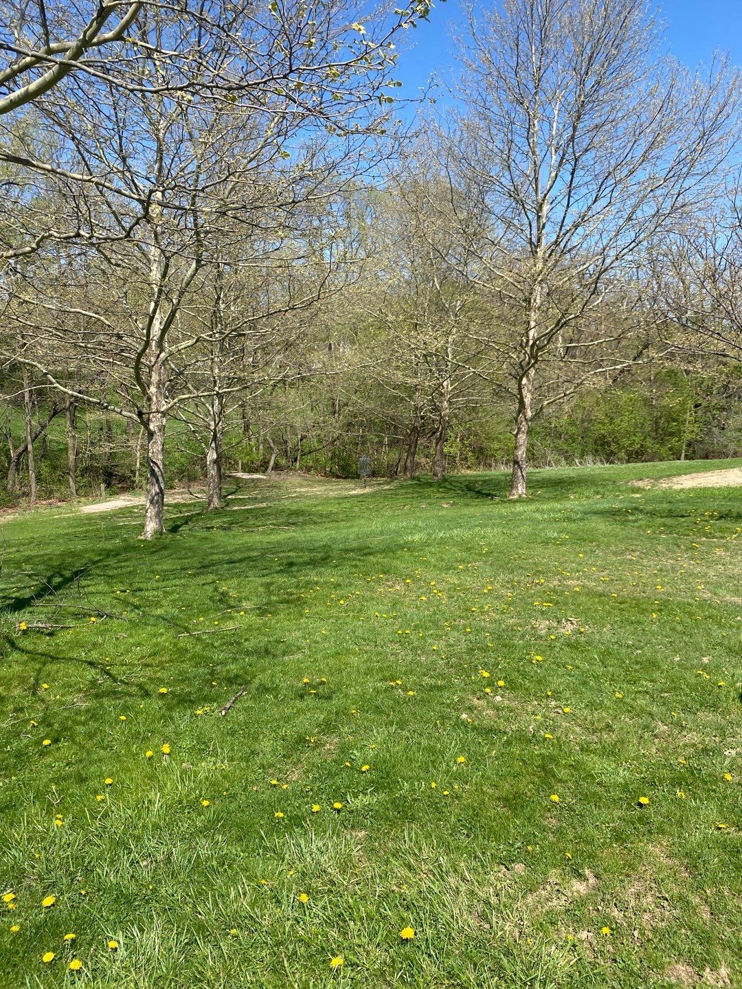 Hole 1 fairway.