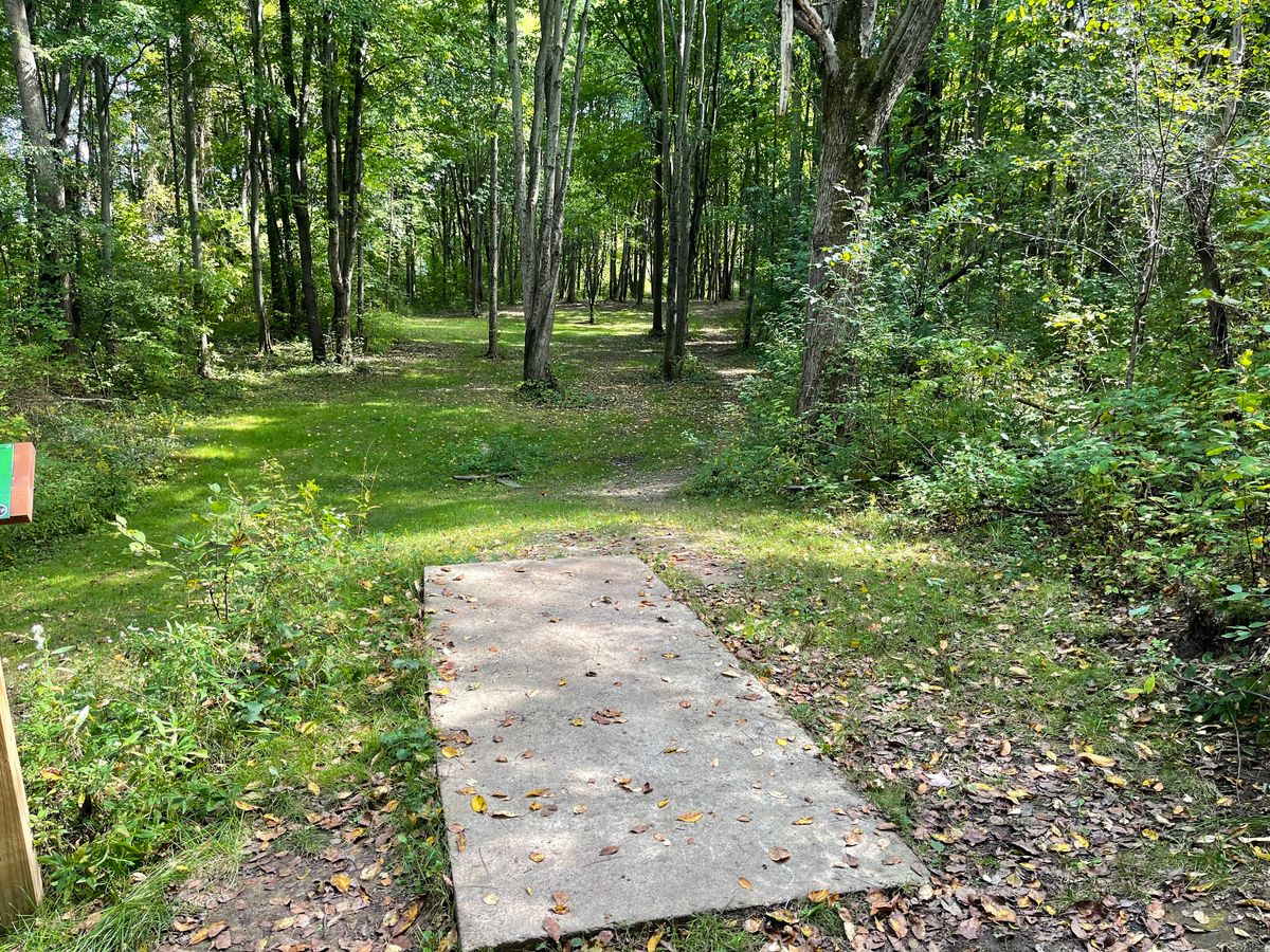 Hole 5 Tee