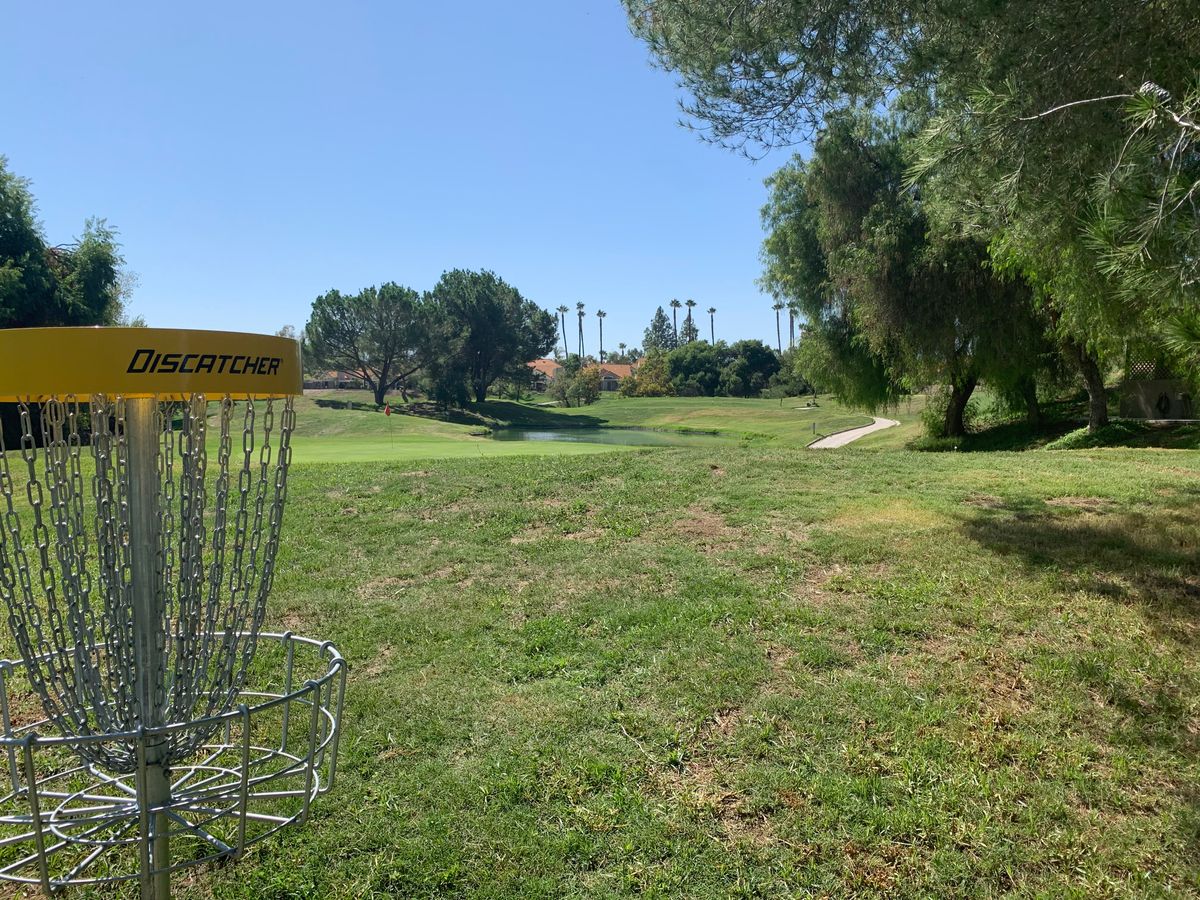 Alpha Hole 9 Basket