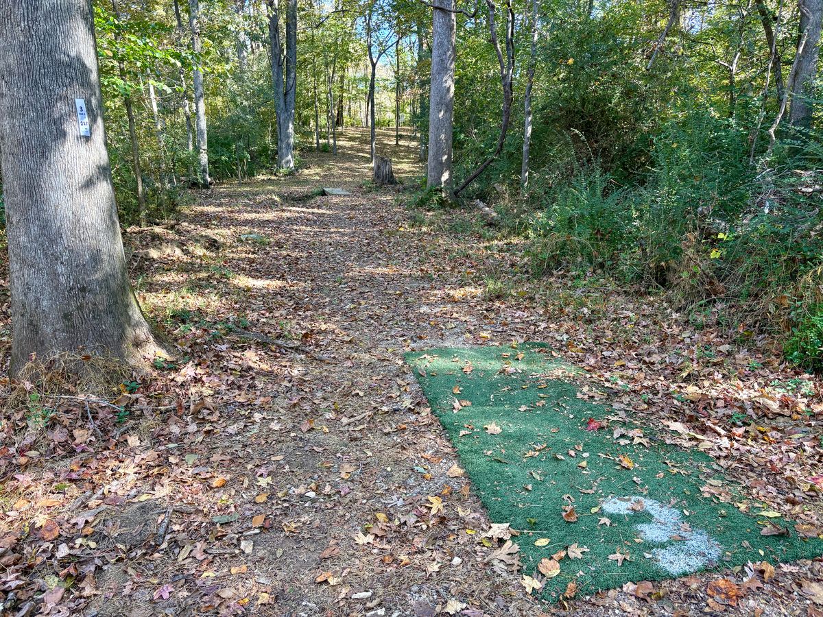Hole 3 tee