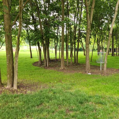 Hole 7
